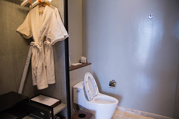 flush toilet in the room