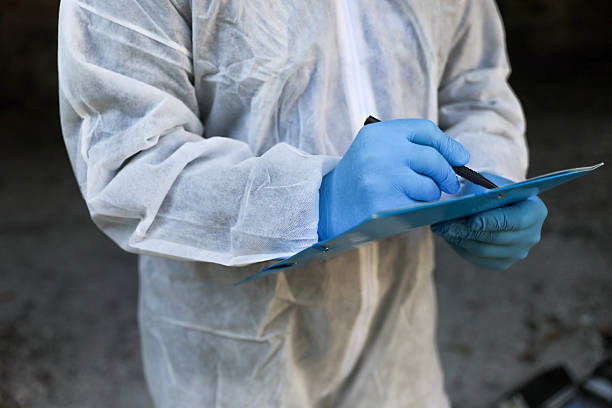 Lead Forensic Analyst Operating On-Site stock photo