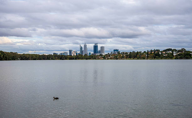 istock Lake Monger Scene With a Duck in Front and City Skyline on Background, Perth, Australia, 24 April 2020 2217666270