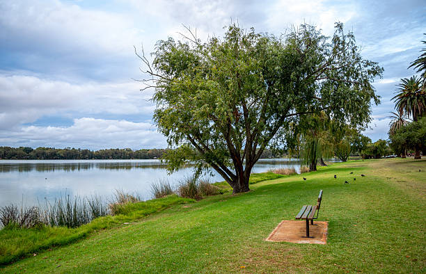 istock Serene Lakeside Park Scene Featuring a Bench, Large Tree, and Calm Water of Lake Monger, Perth, Australia, 24 April 2020 2217666344