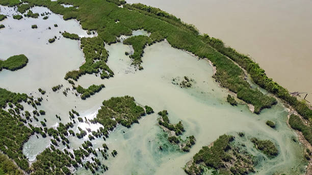 istock Porto Tolle, Po River 2217672650