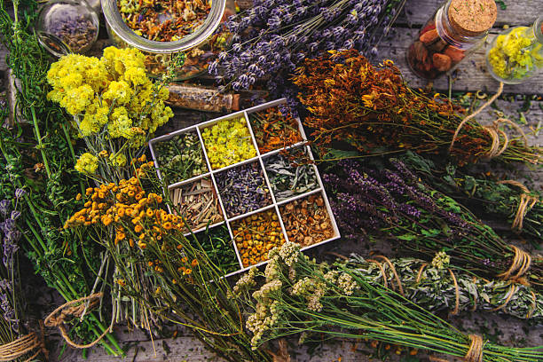 Medicinal herbs on the table. Selective focus. Nature.