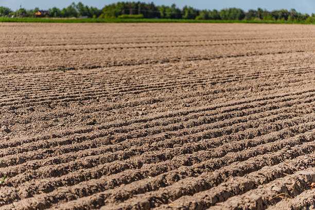 A rural landscape with a plowed empty field at the beginning of spring