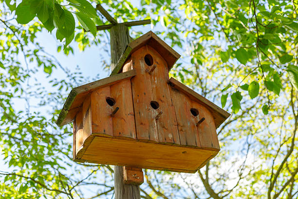 A handcrafted wooden birdhouse hangs on a tree branch, its rustic design blending with vibrant green leaves. The setting is bright and sunny, characteristic of springtime in a local park.