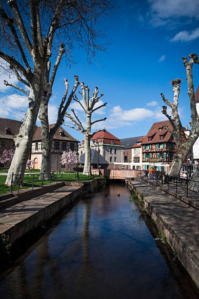 istock View along waterway in Colmar, Alsace 2217681106
