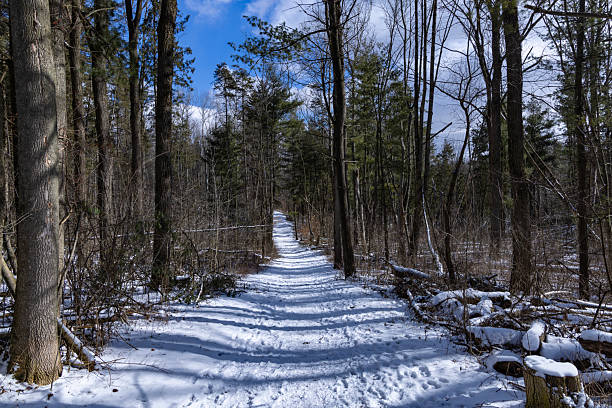 istock Frozen trails in Ontario Canada 2217681345