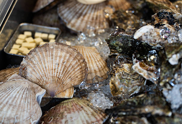Large scallops and oysters displayed on a bed of crushed ice, with cubed butter prepared for cooking.