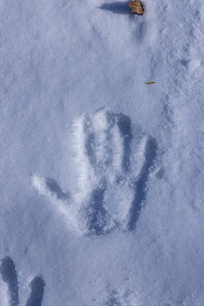 istock Handprint in the snow. 2217681414