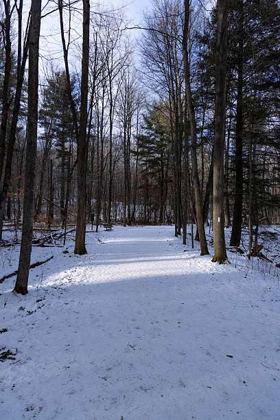 istock Trails in Ontario Canada 2217681770