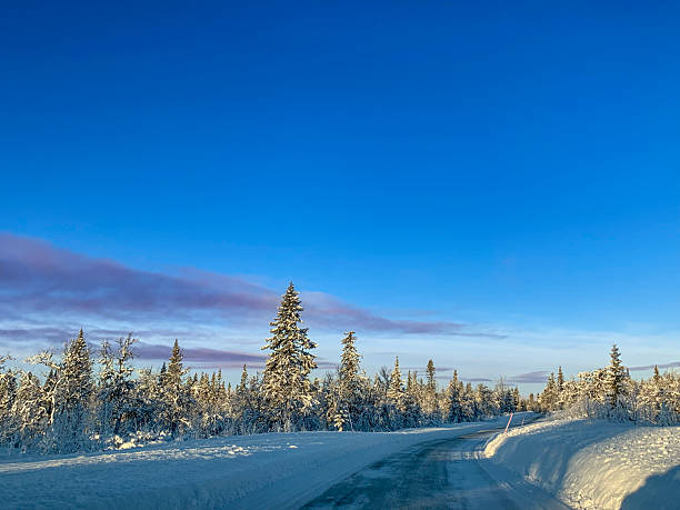 istock Winter road Sweden 2217684046