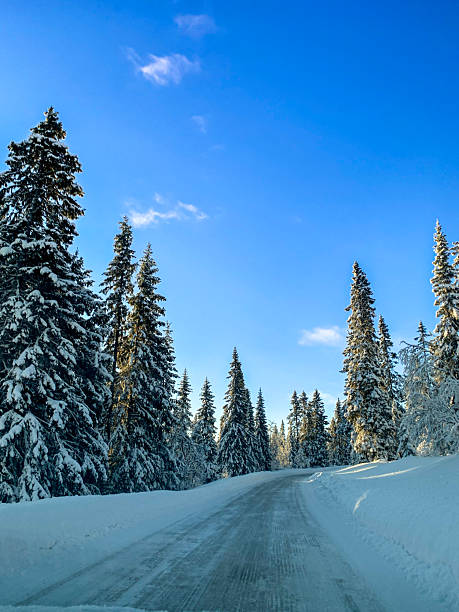 istock Winter road Sweden 2217684060