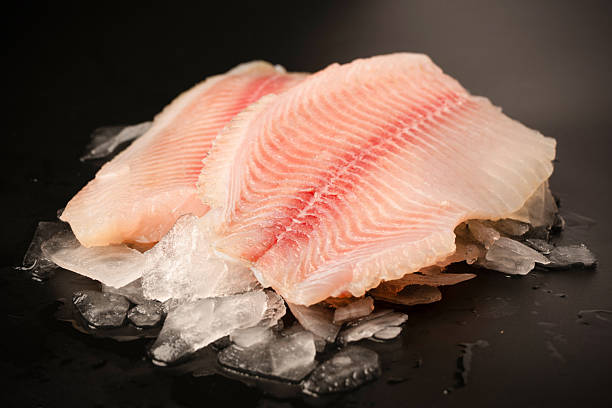 istock Fresh tilapia fillet on ice on black background 2217684452