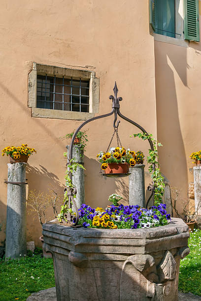 istock Flower bed, Verona, Italy 2217684842