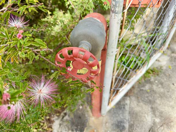 Abandoned firefighter moisturizer with a fence at the bottom and plants.