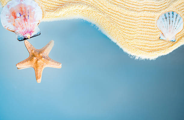 istock Starfish and Seashells on Sandy Shore with Blue Background 2217697669