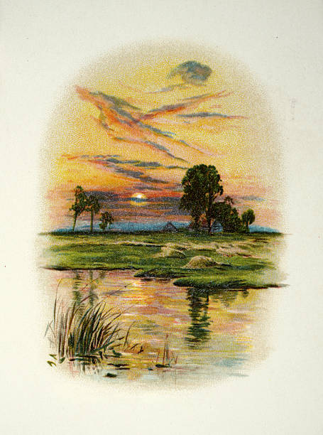 Beautiful sunset over English countryside, Tranquil scene, Victorian 19th Century, Vintage illustration