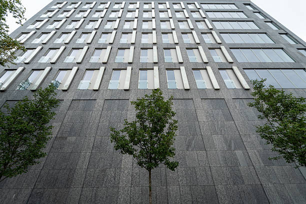 Young green trees against an imposing stone facade of a tall, modern urban building. This contrast shows nature in the \