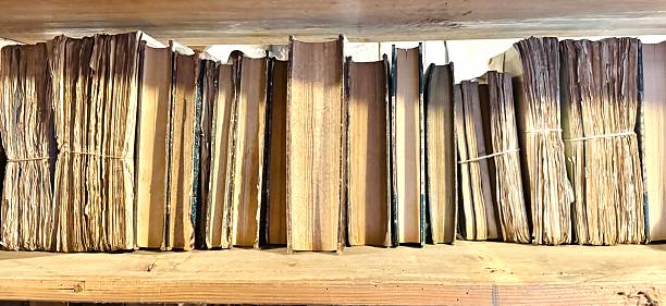 istock Library of 19th century 2217700441