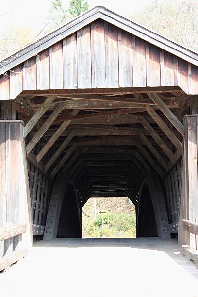 istock Livingston Manor Covered Bridge 2217701182