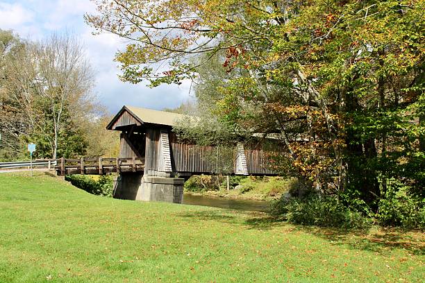istock Livingston Manor Covered Bridge 2217701195