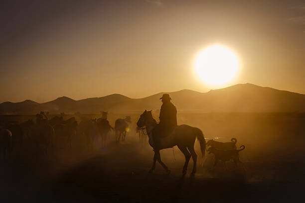 Son-Kul, Naryn region, Kyrgyzstan - 08.16.2024: A Kyrgyz farmer rides a horse through a pasture past yurts, temporary homes of nomads. There are colorful mountains in the background.