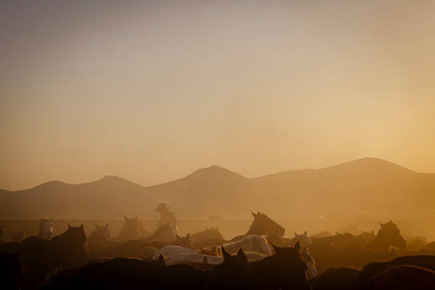 Wild horses running across the open steppe at sunset, kicking up dust clouds under a dramatic orange and red sky