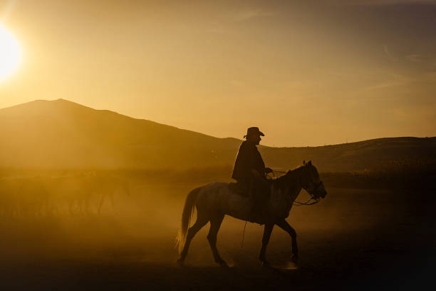 Silhouette of a cowgirl on a horse against blue sky in Arizona