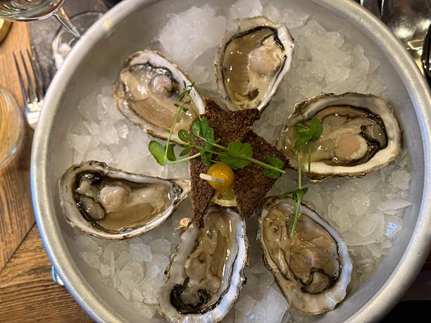 istock Top down of six oysters on the rocks 2217712744