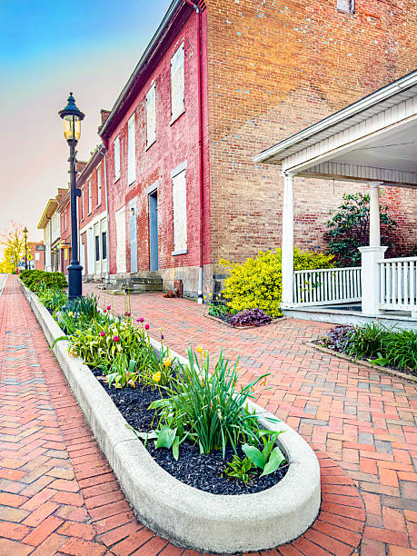 A planter splits the brick pedestrian sidewalk in the small town of Somerset Ohio. There are bloom tulips. There are old brick buildings lining the sidewalk.  There is a streetlight with a soft glow in the early morning.
