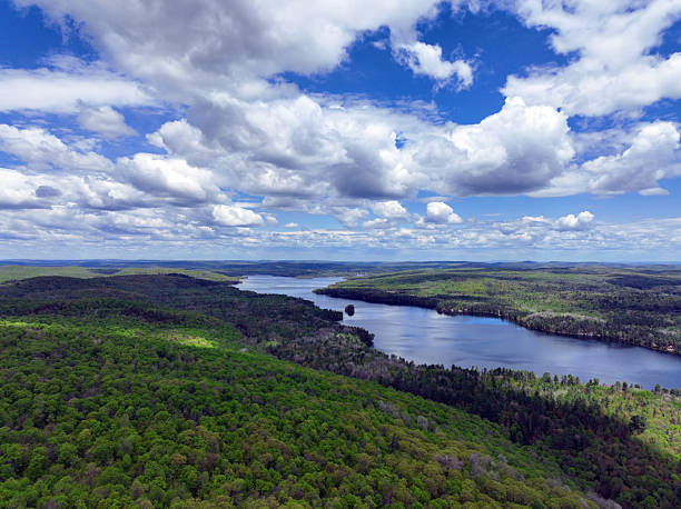 istock Lush green forest bordering a winding body of water 2217720912
