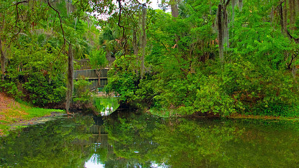 istock Lagoon view with bridge and spanish moss-Hilton Head, South Carolina 2217733031