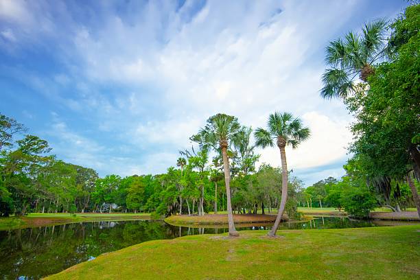 istock Lagoon View with small island-Hilton Head, South Carolina 2217733053