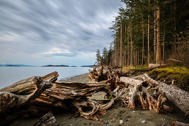 Rathtrevor Provincial Park located in Parksville, British Columbia is a popular tourist destination.