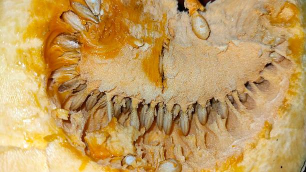 Slice of yellow pumpkin in the kitchen