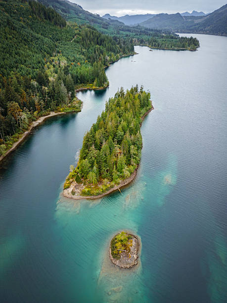 istock Aerial View Cowichan Lake 2217738452
