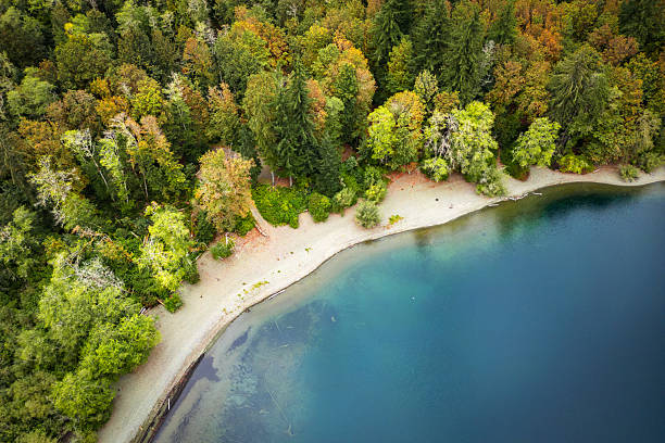 Drone Aerial view of Cowichan Lake, located on Vancouver Island.