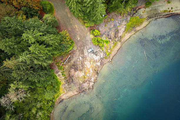 istock Aerial View Cowichan Lake 2217738464