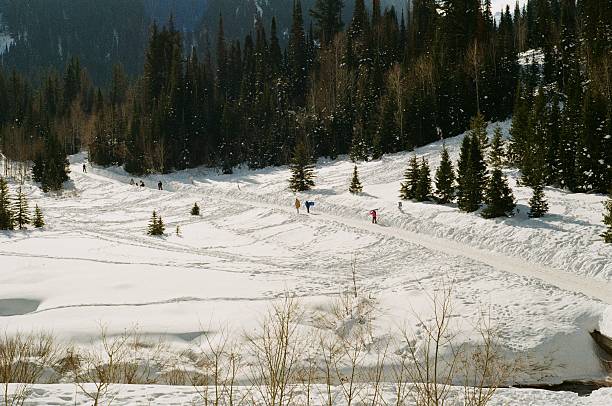 Snow in the Cottonwood Canyons outside Salt Lake City, Utah