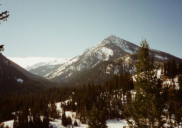 istock Snow in Northern Utah, USA 2217738666