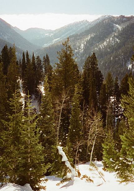 istock Snow in Northern Utah, USA 2217738681