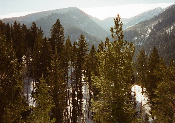 Snow in the Cottonwood Canyons outside Salt Lake City, Utah