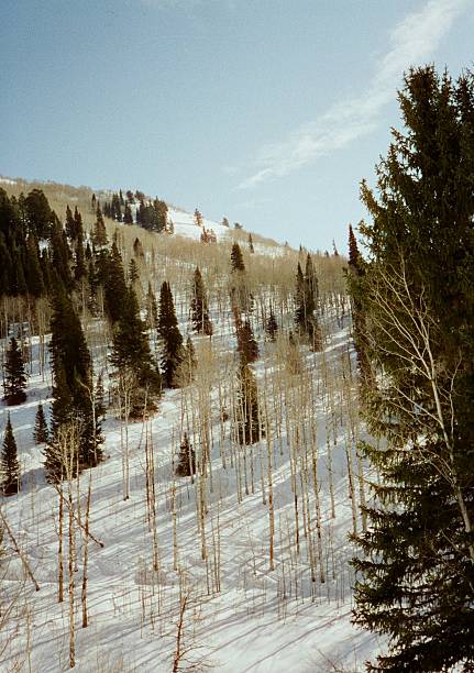 Brighton,UT, US - February 15, 2025: Ski condos covered in snow on the side of a mountain near a ski resort.