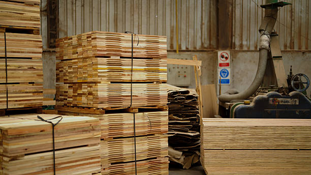 istock Prefab sawmills for cutting wood 2217741978
