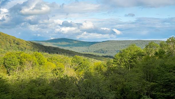 istock Green hills covered with forest, blue sky and clouds 2217742361