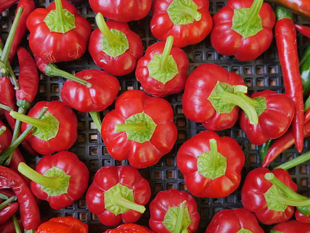 Chili fruits in a black tray