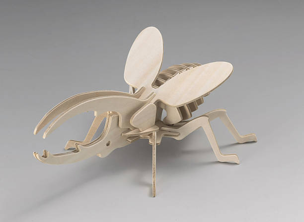 istock 3D puzzle of a rhinoceros beetle 2217745568