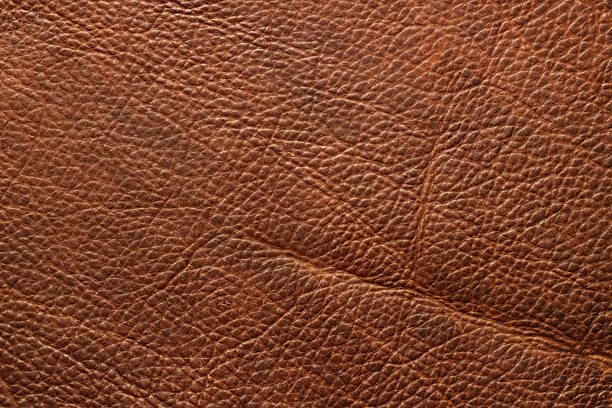 istock brown leather texture as background. natural cowhide close-up 2217749366