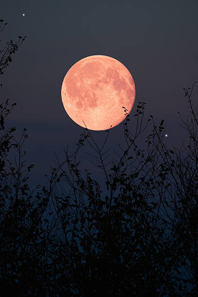 istock Full Moon, stars, planets and landscape scenery silhouettes. 2217751895