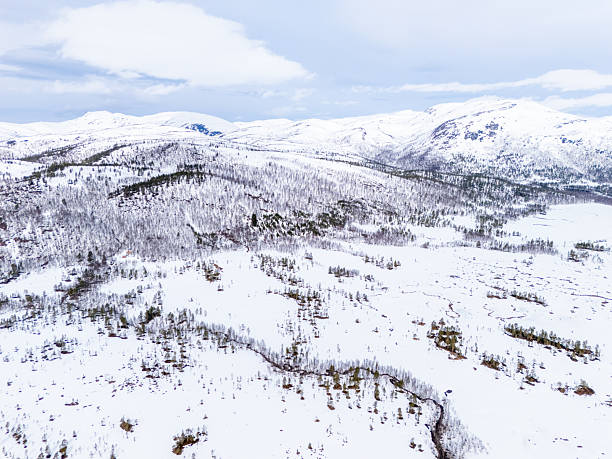 istock Aerial View of Expansive Snow-Covered Mountain Landscape 2217756592