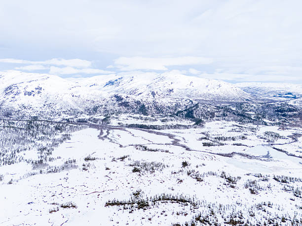 Vast snowy mountain expanse with sparse trees highlighting winter beauty. Majestic aerial view of pristine snow. Perfect for illustrating winter wilderness or remote nature scapes.
